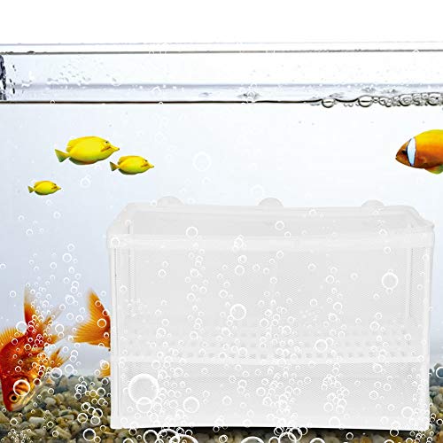 Trennwand Netz Aquarium Hatching Box Fischzucht Inkubator Net Wasser Fische Alevins Isolierung Box für Aquarium Zubehör Trennwand Netz Aquarium Hatching Box Fischzucht Inkubator Net Wasser Fische Alevins Isolierung Box für Aquarium Zubehör von Acouto