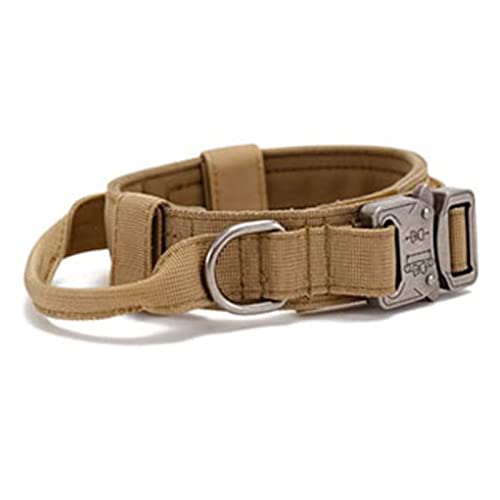 Verstellbares, Langlebiges Hundehalsband aus Polyester mit Metallschnalle, Geeignet für Mittelgroße Hunde Zum Hundetraining, Laufen, Laufen (M) von Acouto