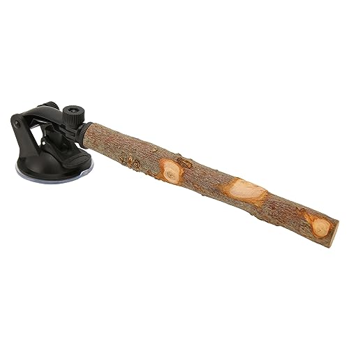 Wood Barsch Slip Interaktiver Bird Win Barschständer mit Saugnäpfen für Kleine und Mittelgroße Vögel 15 cm / 5,9 Zoll HolzbarschBird Standing StickWood Barsch mit SaugnäpfenBird von Acouto