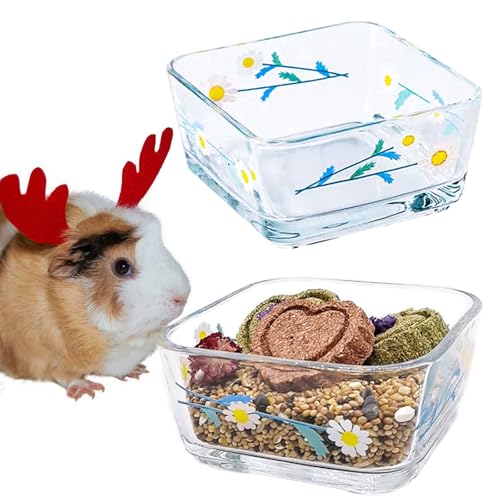 Acsist Futternapf für Hamster, Meerschweinchen, Wassernapf für Hamster, kleine Tiere, für Chinchilla, Frettchen, Ratten, syrische Hamster, Mäuse, Rennmäuse, Igel (weißes Gänseblümchen), 2 Stück von Acsist