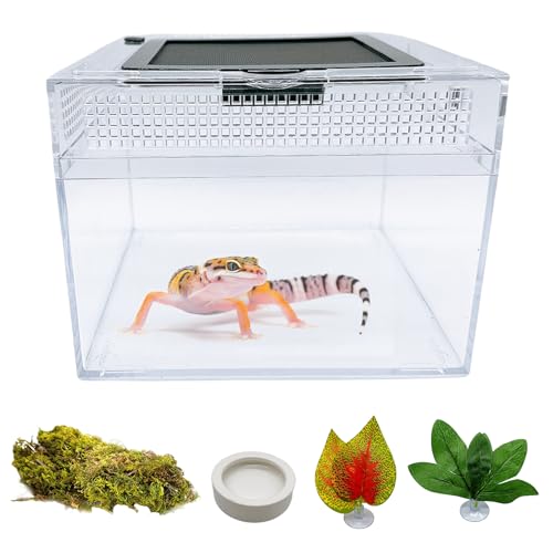 Acsist Mini-Reptilien-Terrarium, 20,3 x 20,3 x 15,2 cm, springende Spinne, Starter-Set mit voller Sicht, visuell ansprechendes Reptiliengehege, Schiebetür, Belüftung, Lebensraum, Tanks für Eidechse, von Acsist