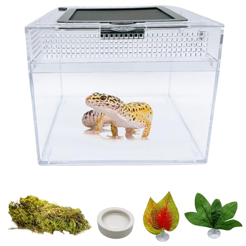 Acsist Mini-Reptilien-Terrarium, 20,3 x 20,3 x 17,8 cm, springende Spinne, Starter-Set mit voller Sicht, visuell ansprechendes Reptiliengehege, Schiebetür, Belüftung, Lebensraum, Tanks für Eidechse, von Acsist