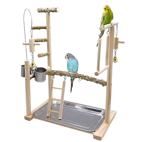 Acsist Vogelspielplatz Papagei Spielständer Vogelstange Ständer Gym Naturholz Spielständer mit Schaukel Leiter Futterstation Tassen für Sittiche Nymphensittiche Lovebirds Sittiche Wellensittiche von Acsist