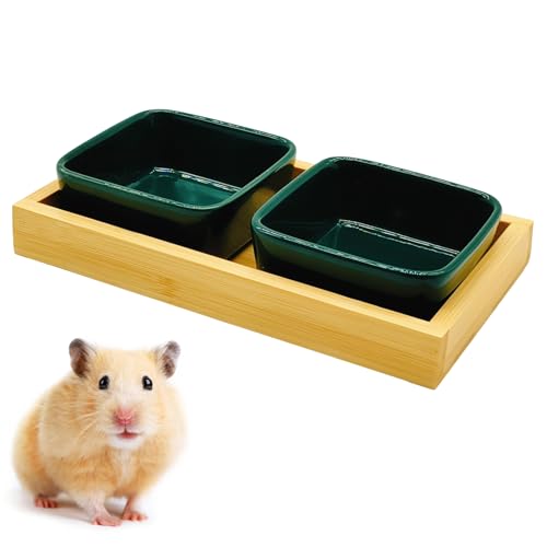 Hamsterschale, Meerschweinchen, Keramik, Wasserschale, Hamster, Futterschale, kleine Tierschale, verhindert Umkippen für Zwerghamster, syrischer Hamster, Kaninchen, Chinchilla, Igel (2 Stück) von Acsist