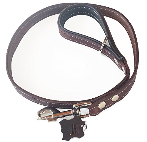 Activity4Dogs Leder Hundeleine | Echt-Leder Führleine kurz| Übungsleine 1,00 m lang | Breite 2 cm | für mittelgroße und große Hunde | Braun-Schwarz | Made in Germany von Activity4Dogs