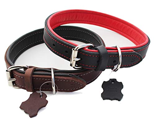 Activity4Dogs Luxus Hundehalsband aus Leder | für (mittel) große Hunde | 3 cm breit | gepolstert | 5-Fach verstellbar | Made in Germany | Echt-Leder Größe XL schwarz-rot von Activity4Dogs