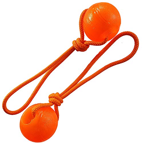 Activity4Dogs Hundeball mit Schnur | Hundespielzeug Ball 2er Pack | schwimmfähig & robust | ohne Geräusch | 76 mm, orange von Activity4Dogs