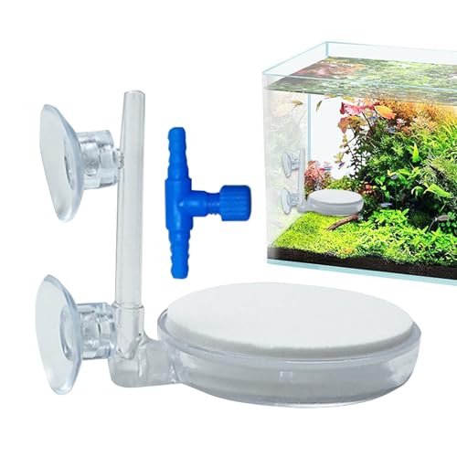Acunny Aquariumluftsteine, Luftsteine für Aquarien - Luftsteinsauerstoffversorgung Diffusor für Fischtank | Fine Bubbler Release -Werkzeug Ruhiges Accessoire für Home Aquarium Pond Live Transport Acunny Aquariumluftsteine, Luftsteine für Aquarien - Luftsteinsauerstoffversorgung Diffusor für Fischtank | Fine Bubbler Release -Werkzeug Ruhiges Accessoire für Home Aquarium Pond Live Transport von Acunny