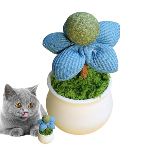 Acunny Catnip Toy für Katzen, Katzenminze Interaktives Katzenspielzeug | Flower Pot Design Catnip,Für Innenkätzchen, Unterhaltung, Safe Healthy Healthy Pet Feed Supplies für Spiel, sichere von Acunny