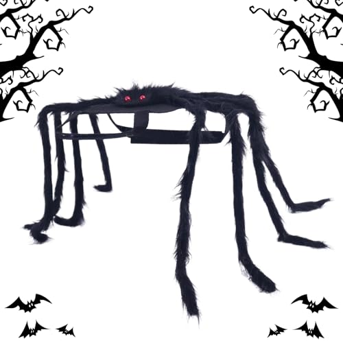 Acunny Halloween-Kostüm für Hunde, Spinnen, Cosplay, Katze, Spinne, Halloween – Kleidung und Zubehör für Cosplay, für Haustiere, für Partys, Veranstaltungen, Festivals, Feiern Acunny Halloween-Kostüm für Hunde, Spinnen, Cosplay, Katze, Spinne, Halloween – Kleidung und Zubehör für Cosplay, für Haustiere, für Partys, Veranstaltungen, Festivals, Feiern von Acunny