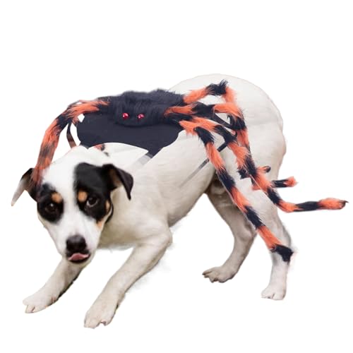 Acunny Hundekostüm Halloween Spinne,Spinnen Cosplay Kostüme für Katzen | Verkleidung Zubehör Für Welpen Events Feste Karneval Fotoshooting Acunny Hundekostüm Halloween Spinne,Spinnen Cosplay Kostüme für Katzen | Verkleidung Zubehör Für Welpen Events Feste Karneval Fotoshooting von Acunny