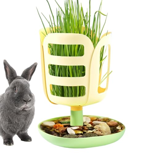 Acunny Kaninchen Katzentoilette mit Heuhändler, Hay -Feeder -Kaninchen - PP Bunny Hay Feeder mit Blumenform Käfigzubehör - Bunny Accessoires, Food Bowl, Small Animal Feeding für das chinesische von Acunny