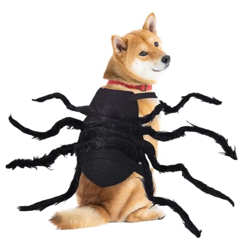 Acunny Katzen Halloween Kostüme - Spinnen Cosplay Kostüme für Katzen - Verkleidung Zubehör Für Welpen Events Feste Karneval Fotoshooting Acunny Katzen Halloween Kostüme - Spinnen Cosplay Kostüme für Katzen - Verkleidung Zubehör Für Welpen Events Feste Karneval Fotoshooting von Acunny