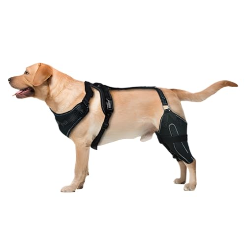 Acunny Kniebandage für das Hinterbein von Hunden,Hinterbeinbandage für Hunde,Verstellbare Hinterbeinstütze für Hunde - Hunde-Rückenbeinbandage, Canine Care CCL-Stützbandage für mittelgroße und große von Acunny