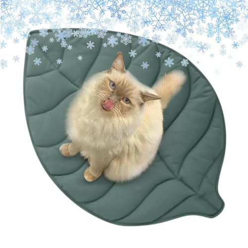 Acunny Kühlmatte für Tiere – frische Matratze für Katzen – rutschfest, leicht, Blattdesign, waschbar, für Innen- und Außenbereich, Pool, Strand, Auto, Camping Acunny Kühlmatte für Tiere – frische Matratze für Katzen – rutschfest, leicht, Blattdesign, waschbar, für Innen- und Außenbereich, Pool, Strand, Auto, Camping von Acunny