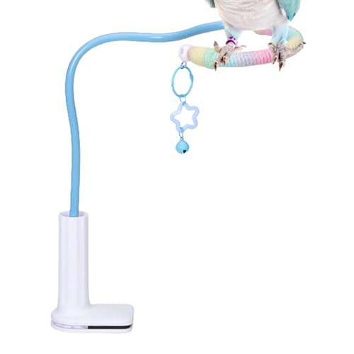 Acunny Vogel Sitzstange Stand - Vogel Trainings Sitzstange | Nymphensittich Spielzeug mit Glocke, rutschfeste Trainingsaccessoires für Wellensittichkäfig & Innenspielbereich Acunny Vogel Sitzstange Stand - Vogel Trainings Sitzstange | Nymphensittich Spielzeug mit Glocke, rutschfeste Trainingsaccessoires für Wellensittichkäfig & Innenspielbereich von Acunny