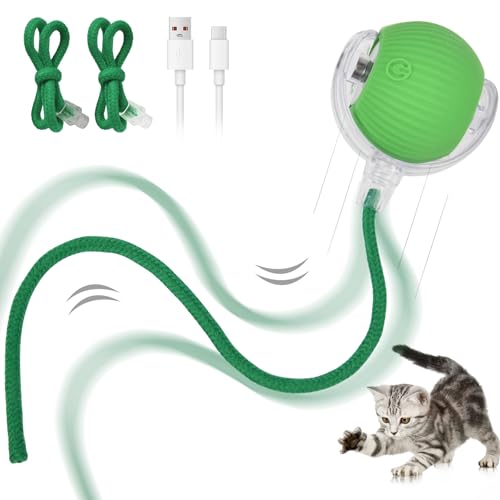 Adiwo Interaktives Katzenspielzeug, Interaktiver Spielball mit Schwanz für Katzen, Intelligentes Katzenspielzeug Wiederaufladbar über USB, Interaktives Katzen- und Hundespielzeug von Adiwo