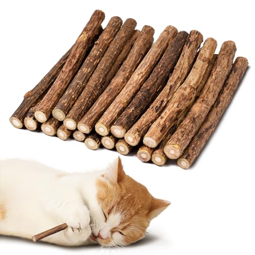 Adiwo Katzenminze Sticks,20 Stück Matatabi Katzensticks Katzenminzen Spielzeug Matatabi Stick Katzen Sticks Katzenminze Zähne Reinigung Dental Katzenspielzeug für Katzen Zahnpflege 8-10MM von Adiwo