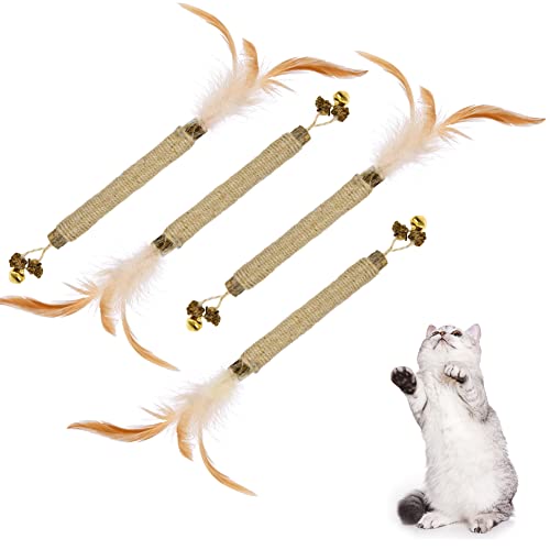 Adiwo Katzenminze Sticks,4 Stück Matatabi Katzensticks Katzenminzen Spielzeug Matatabi Stick Katzen Sticks Katzenminze Zähne Reinigung Dental Katzenspielzeug für Katzen Zahnpflege Natürlich Sicher von Adiwo