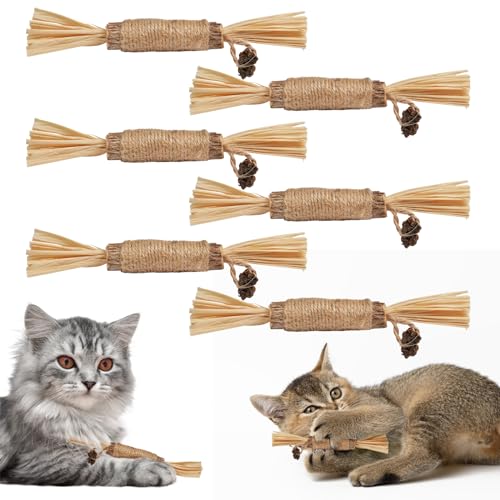 Adiwo Katzenminze Sticks,6 Stück Matatabi Katzensticks Katzenminzen Spielzeug Matatabi Stick Katzen Sticks Katzenminze Zähne Reinigung Dental Katzenspielzeug für Katzen Zahnpflege 15CM von Adiwo