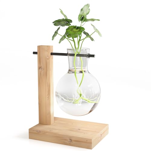 Glas-Pflanzgefäß, Blumen-Vase, Desktop, Pflanzen-Terrarium mit Holzständer, Pflanzenzuchtstation, Pflanzen, lebende Zimmerpflanzen als Geschenk, Frauen für Anzucht, Hydrokultur, Wasserpflanzen, Büro, von Adorylla