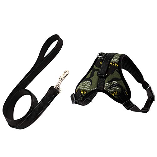 Adririv Hunde Geschirr Leine Set Einstellbare Atmungsaktive Hund Katze Kragen Weste Harness für Hund Welpen Haustier Brust Gurt Hunde ZubehöR Brief M von Adririv