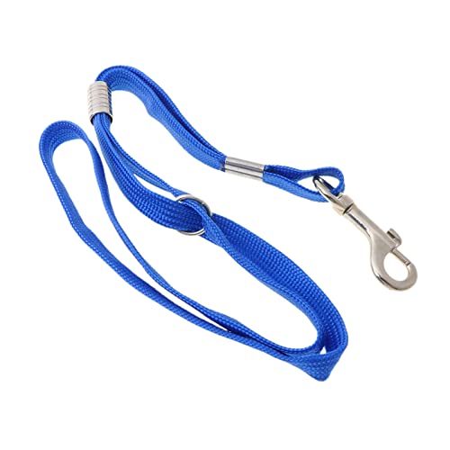 Adrosstoller Hundepflegeschlaufe, strapazierfähig, Nylon, Länge 48,3 cm, zum Baden und Pflegen von Hunden von Adrosstoller