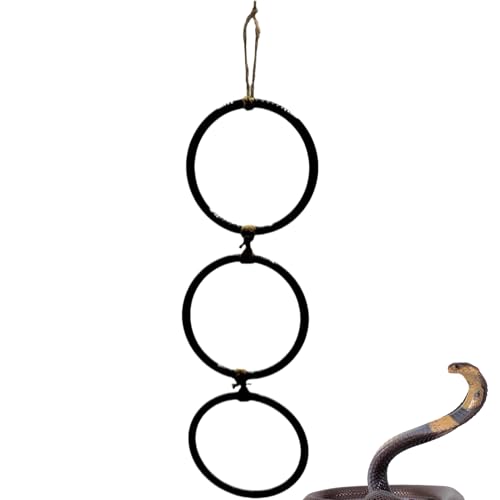 Adsfvs Kornnatter Terrarium Zubehör - Kletterdekoration Für Reptilien - Schaukel-Reifen-Ketten Spielzeug Interaktiv Für Amphibien-Terrarien & Innenräume Adsfvs Kornnatter Terrarium Zubehör - Kletterdekoration Für Reptilien - Schaukel-Reifen-Ketten Spielzeug Interaktiv Für Amphibien-Terrarien & Innenräume von Adsfvs
