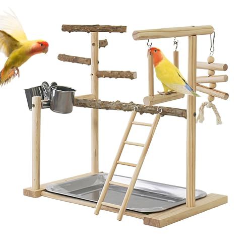 Adsfvs Papageienspielplatz, Papageienspielhalle - Swing-Kau-Übungsspielzeug mit Tablett und Bechern | Vogelspielzeug, Übungsspielhalle, Vogelspielhalle-Laufstall, Vogelkäfigzubehör von Adsfvs