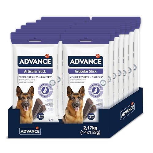 Advance Pienso für ausgewachsene Katze von Advance