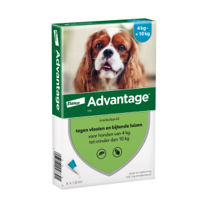 Advantage Nr. 100 Flohmittel (4 bis 10 kg) Hund 5 Packungen von Advantage