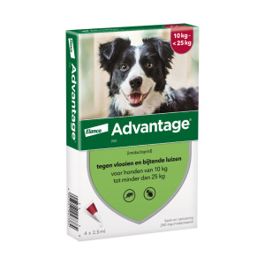 Advantage Nr. 250 Flohmittel (10 bis 25 kg) Hund 5 Packungen von Advantage