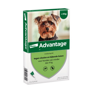 Advantage Nr. 40 Flohmittel (bis 4 kg) Hund 5 Packungen von Advantage