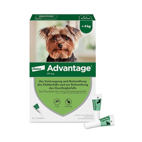 Elanco Advantage Spot-On 40 für sehr kleine Hunde bis 4 kg Körpergewicht, schnelle Bekämpfung von Flöhen und Schutz vor Flohbefall für bis zu 4 Wochen, 4 Pipetten mit 0,4 ml Lösung Elanco Advantage Spot-On 40 für sehr kleine Hunde bis 4 kg Körpergewicht, schnelle Bekämpfung von Flöhen und Schutz vor Flohbefall für bis zu 4 Wochen, 4 Pipetten mit 0,4 ml Lösung von Advantage