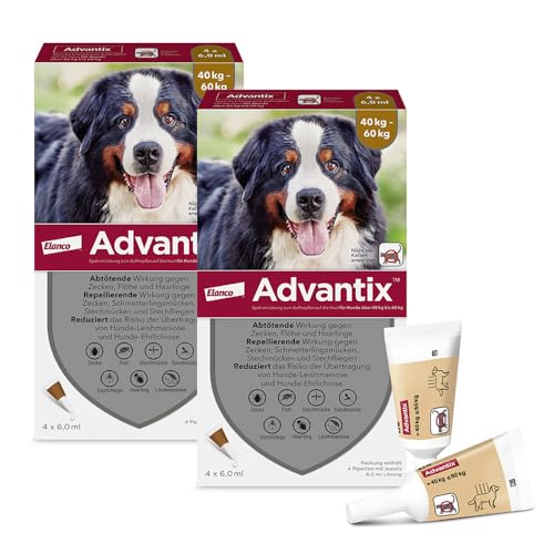 Advantix Sparset: Elanco Spot-On XXL für sehr große Hunde von 40 kg bis 60 kg gegen Zecken, Sandmücken, Stechmücken, Stechfliegen und Flöhe, Wirkung bis zu 4 Wochen, 2 x 4 Pipetten-Packung von Advantix