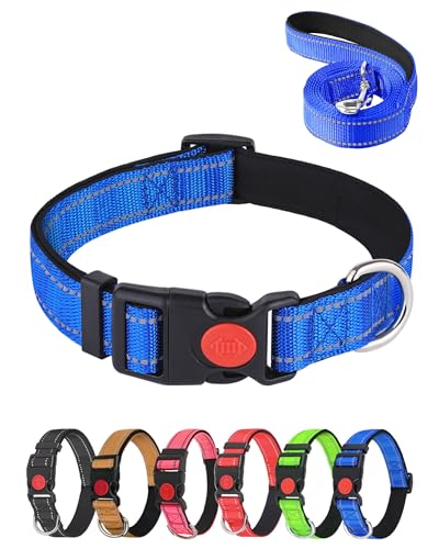 Aeclleca Reflektierendes Hundehalsband und Leine, Set mit Sicherheitsschnalle, verstellbar, weiches Nylon, Haustierhalsbänder für kleine, mittelgroße Hunde (Blau, L) von Aecllcea