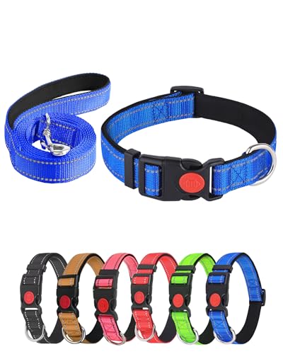 Aeclleca Reflektierendes Hundehalsband und Leine, Set mit Sicherheitsschnalle, verstellbar, weiches Nylon, Haustierhalsbänder für kleine, mittelgroße Hunde (Blau, S) von Aecllcea