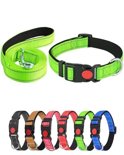 Aeclleca Reflektierendes Hundehalsband und Leine, Set mit Sicherheitsschnalle, verstellbar, weiches Nylon, Haustierhalsbänder für kleine, mittelgroße Hunde (Grün, L) von Aecllcea