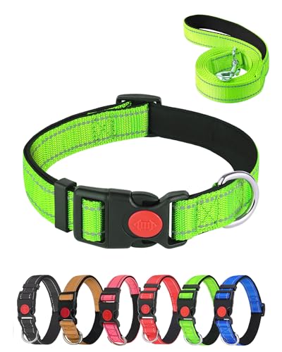 Aeclleca Reflektierendes Hundehalsband und Leine, Set mit Sicherheitsschnalle, verstellbar, weiches Nylon, Haustierhalsbänder für kleine, mittelgroße Hunde (Grün, XS) von Aecllcea