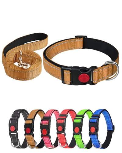 Aeclleca Reflektierendes Hundehalsband und Leine, Set mit Sicherheitsschnalle, verstellbar, weiches Nylon, Haustierhalsbänder für kleine, mittelgroße Hunde (Khaki, M) von Aecllcea