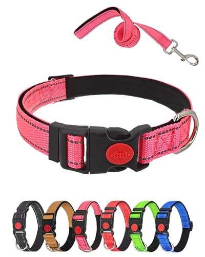 Aeclleca Reflektierendes Hundehalsband und Leine, Set mit Sicherheitsschnalle, verstellbar, weiches Nylon, Haustierhalsbänder für kleine, mittelgroße Hunde (Rosa, L) von Aecllcea