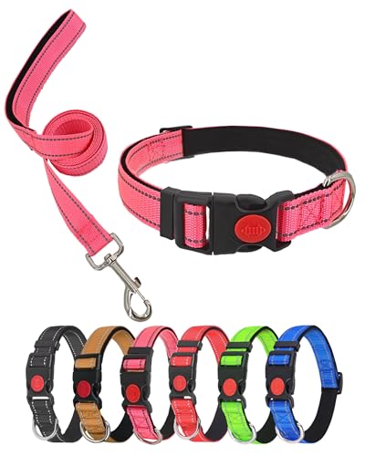 Aeclleca Reflektierendes Hundehalsband und Leine, Set mit Sicherheitsschnalle, verstellbar, weiches Nylon, Haustierhalsbänder für kleine, mittelgroße Hunde (Rosa, M) von Aecllcea