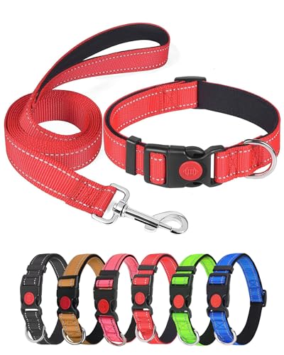 Aeclleca Reflektierendes Hundehalsband und Leine, Set mit Sicherheitsschnalle, verstellbar, weiches Nylon, Haustierhalsbänder für kleine, mittelgroße Hunde (Rot, L) von Aecllcea