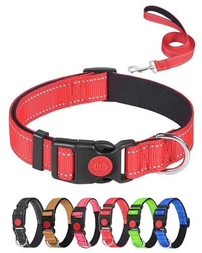 Aeclleca Reflektierendes Hundehalsband und Leine, Set mit Sicherheitsschnalle, verstellbar, weiches Nylon, Haustierhalsbänder für kleine, mittelgroße Hunde (Rot, M) von Aecllcea