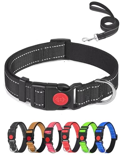 Aeclleca Reflektierendes Hundehalsband und Leine, Set mit Sicherheitsschnalle, verstellbar, weiches Nylon, Haustierhalsbänder für kleine, mittelgroße Hunde (Schwarz, L) von Aecllcea