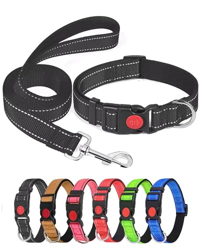 Aeclleca Reflektierendes Hundehalsband und Leine, Set mit Sicherheitsschnalle, verstellbar, weiches Nylon, Haustierhalsbänder für kleine, mittelgroße Hunde (Schwarz, XL) von Aecllcea