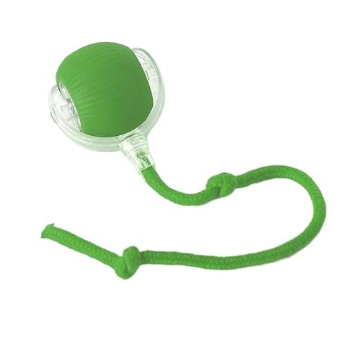 Aerensic 1/2PCS Smart Katzenspielzeug Haustierspielzeug Automatischer Rollball Gefälschter Schwanz Wiederaufladbares elektrisches Haustier Interaktives Spielzeug Hund Katze(Green A,1) von Aerensic