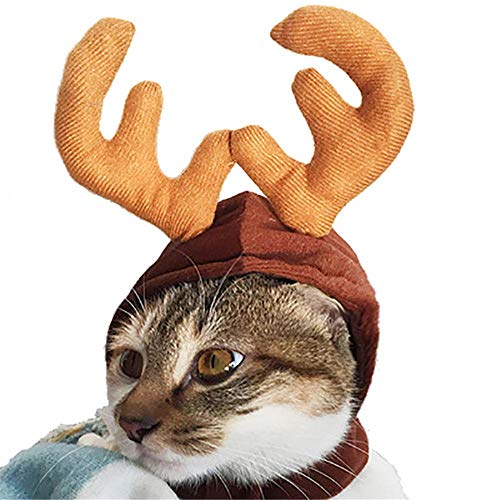 Aeromdale Haustier Hund Katze Kleidung Kostüm Halloween Katze Hut Schal Anzug Mantel Dress Up Neujahr Haustier Kostüm Mantel Weihnachten Kleidung Mascotas - # C - M von Aeromdale