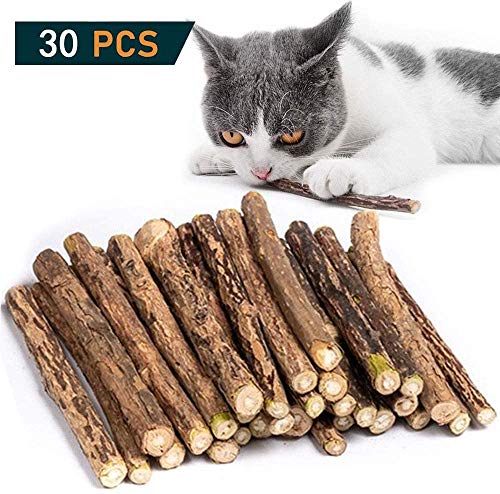 Aestm 30 Stück Katzen Kauhölzer Catnip Snacks Sticks Katzenminze Zähne Gesund Hygiene Zahnpflege Natur unterstützen die NatürlicheKatzenminze Sticks zum Schleifen von Zähnen, Spielzeug für Katzen, Kätzchen, 100% biologisch, natürlich von Aestm