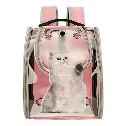 Aferzov Katzen-Rucksack – Katzen-Rucksack, Transporttasche, transparent, für Haustiere, Hunde, Wandern, Rucksack, Tragetasche für kleine Hunde, für Katzen, Welpen, Reisetransport, Outdoor von Aferzov